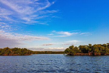 Mangrove Island at Ten Thousand Islands National Wildlife Refuge in Everglades National Park, Florida, USA