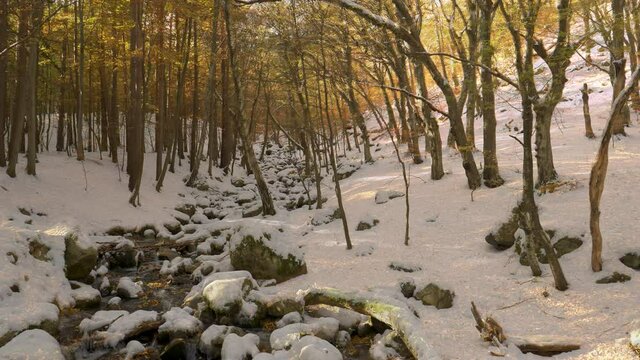 Autumn to winter season change transition in snow forest with river