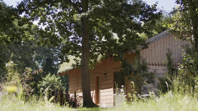 Wooden cabin hidden among trees. Summer day