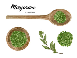Watercolor fresh and dry marjoram in wooden bowl and spoon. Kitchen spices and herbs set.