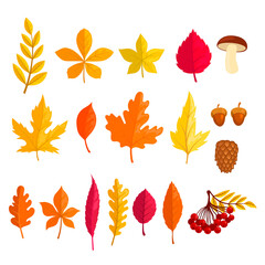 Set of illustrations of autumn leaves in cartoon style. Design element for poster, card, banner. Vector illustration