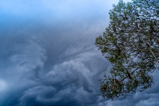 The storm is coming. Storm clouds above the tree. Heavy torrential rain. Rainfall flash flooding . Metorology weather forecast. Low pressure area. La Nina