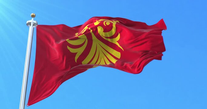 Flag of Vestfold og Telemark fylke, Norway. Loop