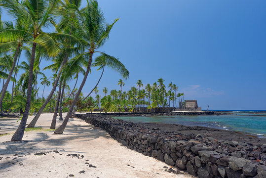 USA, Hawaii, Big Island of Hawaii. Pu'uhonua O Honaunau National Historical Park, Palm trees along coastline and distant Hale O Keawe Heiau temple.
