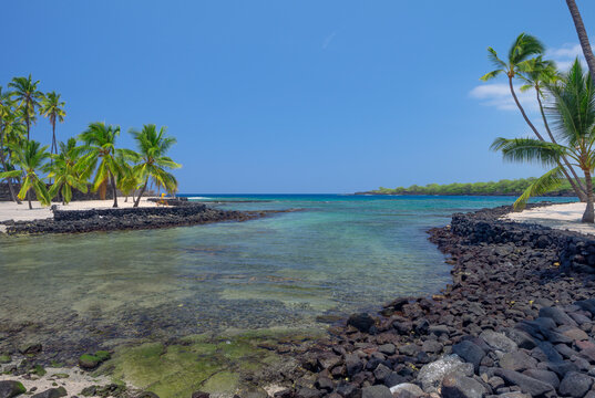 USA, Hawaii, Big Island of Hawaii. Pu'uhonua O Honaunau National Historical Park, Keone'ele Cove and palm trees.