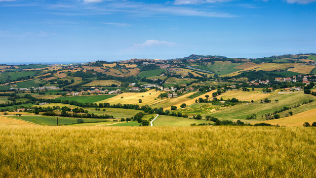 Rural landscape near Santa Maria Nuova and Osimo, Marche, Italy