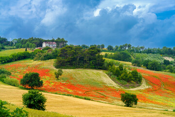 Naklejka premium Landscape of the Conero, Marche, italy