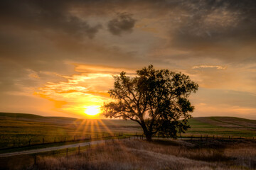 Sun rising over the Flint Hills with a country road.
