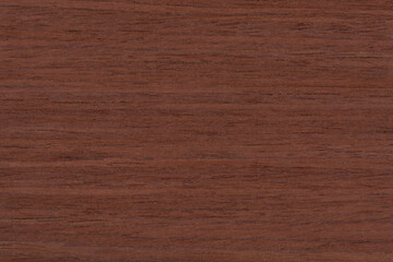 Merbau Exotic wood panel texture pattern