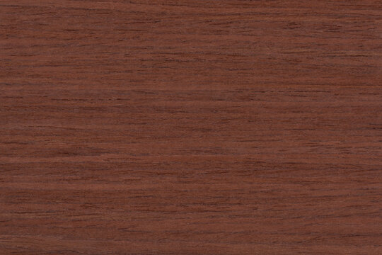 Merbau Exotic wood panel texture pattern