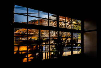 Autumn Season view window outside.
Creative images. Colourful and Japanese long window.