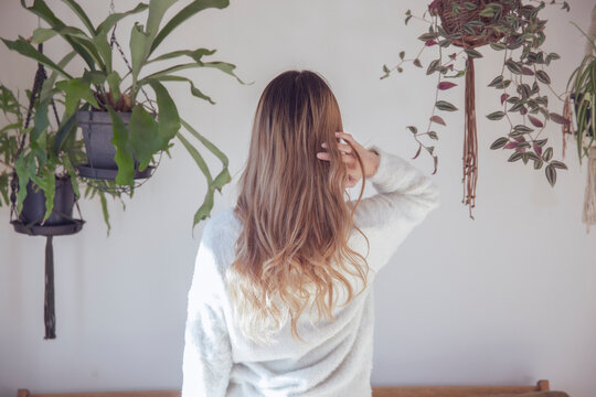 ハンギング観葉植物に囲まれた室内で、綺麗な巻き髪の女性の後ろ姿