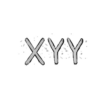 light gray xyy karyotype (colored)	

