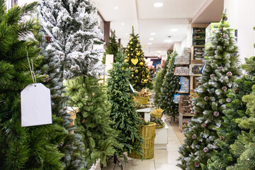 Christmas trees in the store
Christmas shopping. Selective focus. Buying a Christmas tree. Preparing for the celebration of the birth and the new year. Christmas and New Year,
