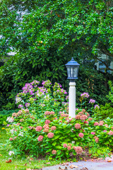 USA, Maryland, Bethesda, flowers and pole light