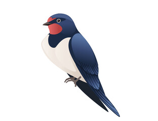 Cute swallow sitting on white background cartoon bird animal design