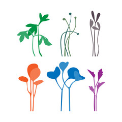 Fototapeta na wymiar Logo farm. Microgreens and organic food. Vector isolated logotype.