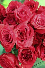 bouquet of roses