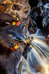 Rapids over maple leaves in the Escanaba River near Palmer, Michigan, USA