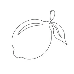 Lemon line drawing vector. Isolated icon. Fruits Vector. Design linear artwork element. Flat design. one-line object.
