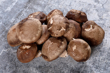 Group of shiitake mushrooms on bright white cement table