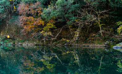 Autumn landscape beautiful colour trees over the river glowing in the sunlight. wonderful background. mountain reflection water in Japan. fresh and cold water