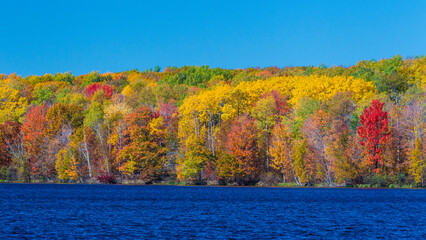 USA, Minnesota. Fall colors on a lake in the Northwoods.