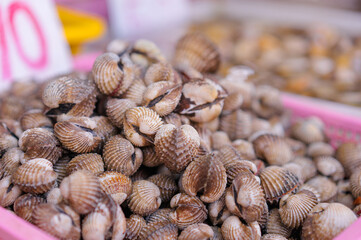 Seafood. Close up of raw mollusk in shells on the market.