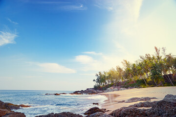 Fototapeta na wymiar Sunny day on the tropical beach with cocnut palm trees.