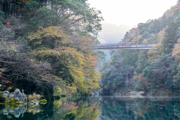 Autumn season misty wether mountain. Beautiful background green water river. Misty mountain forest landscape in the morning in Japan