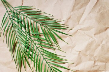 Green palm leaves on a brown crumpled paper background. Natural, organic mockup, picture for design, flat lay photo