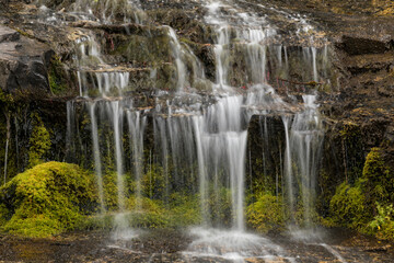 Small wet weather waterfall, Glacier National Park, Montana