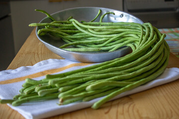 Freshly picked long beans on the table (Vigna unguiculata subsp. Sesquipedalis)
