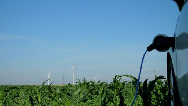 Wind turbines and e-car recharge. Contemporary wind farm and automobile at recharging station near corn field on summer day close view