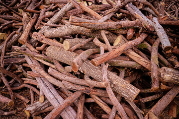 Brushwood and branches textured background.
