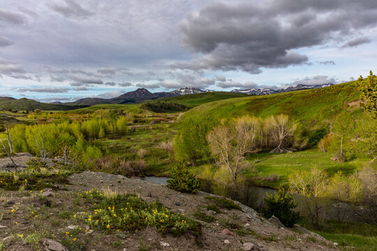 Elk Creek Near Augusta, Montana, USA