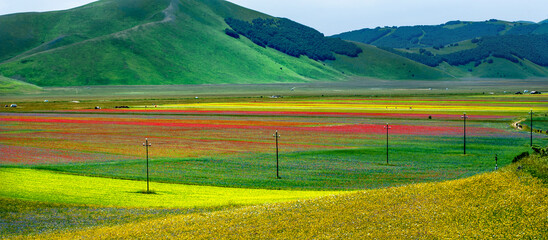 Obraz premium Primavera a Castelluccio di Norcia