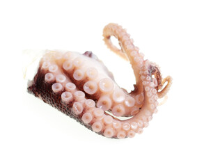 Close-up of squid tentacles on a white background