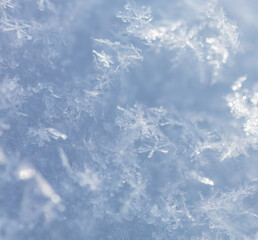 Close up of snowflakes as background.