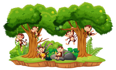 Isolated forest scene with naughty monkeys