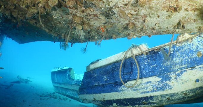 tunicates under the wing of air plane wreck underwater with some tubeworms ocean scenery of life on wrecks