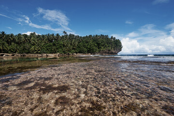 Rock natural pool lagoon. Coconut palm tree beach.