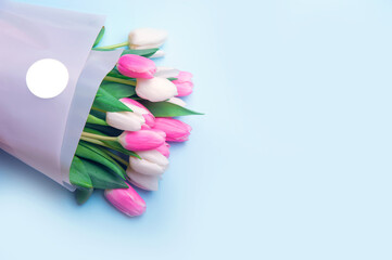 Obraz na płótnie Canvas Pink and white tulips in gift bag on blue background close up and copy space. Mock up