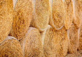 Hay bales neatly stacked on top of each other. Dry straw texture.
