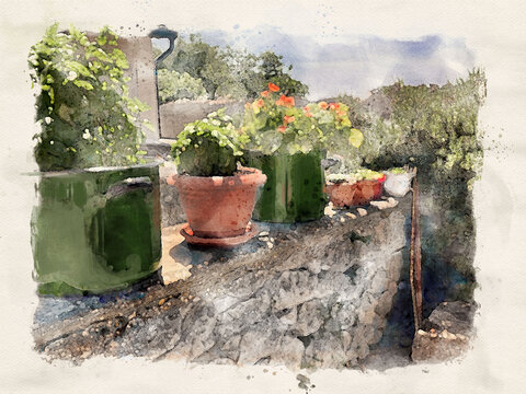 vasi e pentole con fiori e piante su muro di pietra, illustrazione, stile acquarello