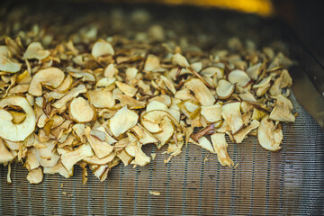 Sliced and dried apples on a conveyor belt in food processing facility - 472829670