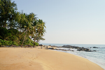Tropical sand beach with cocnut palm trees.