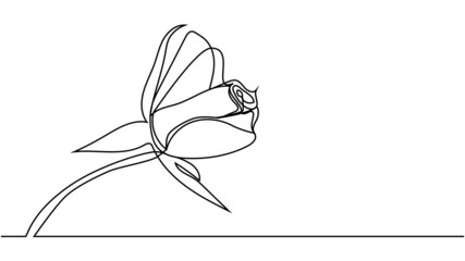 Continuous one line drawing of rose flower minimalist design minimalism concept