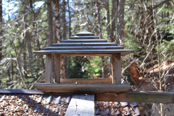 Bird feeder made of wood.