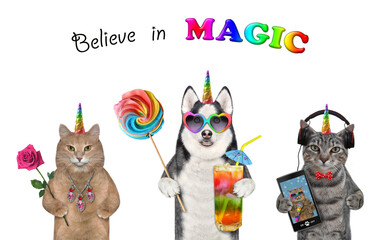 Unicorns eat sweets and listen to music. Believe in magic. White background. Isolated.